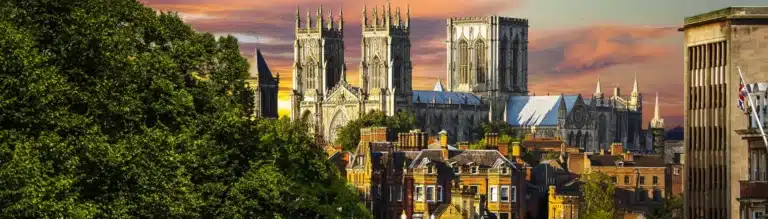 York Header